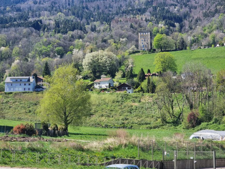 319-319-319 - Photo 3