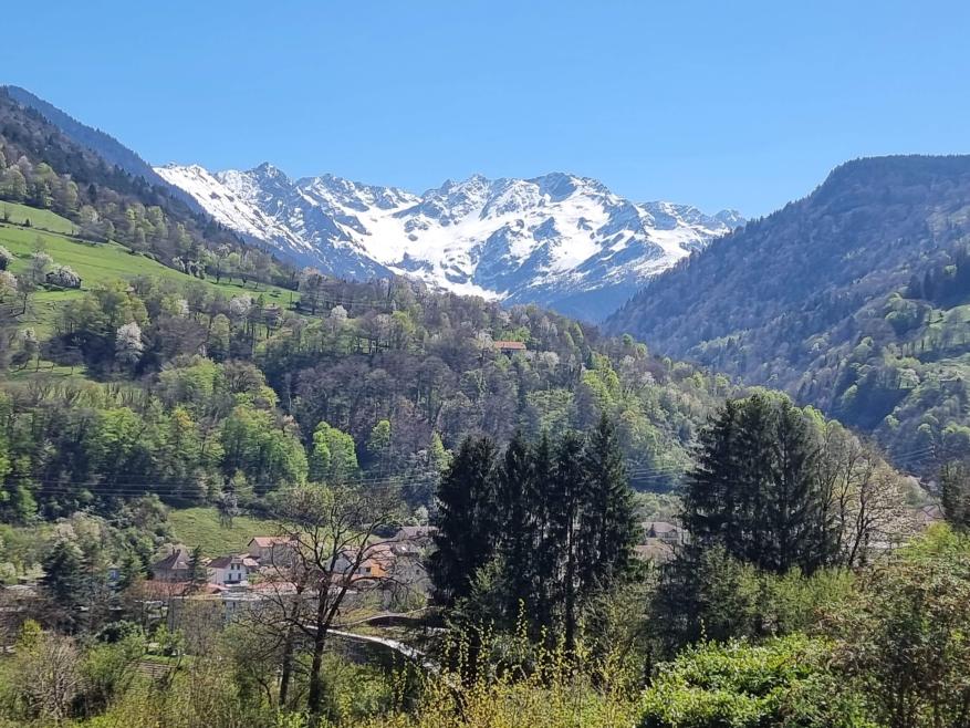 319-319-319 - Photo 2