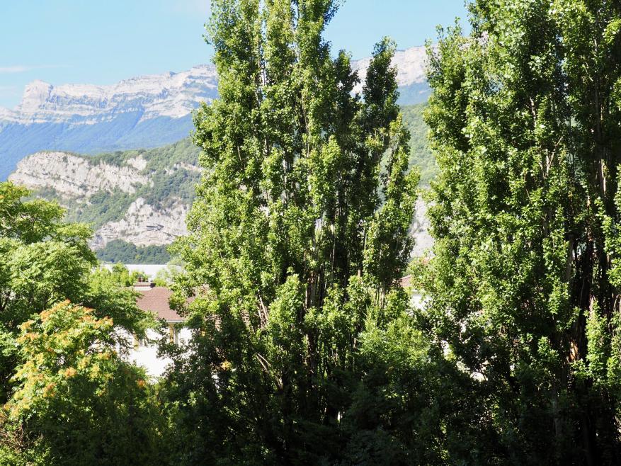 283 - Photo 21