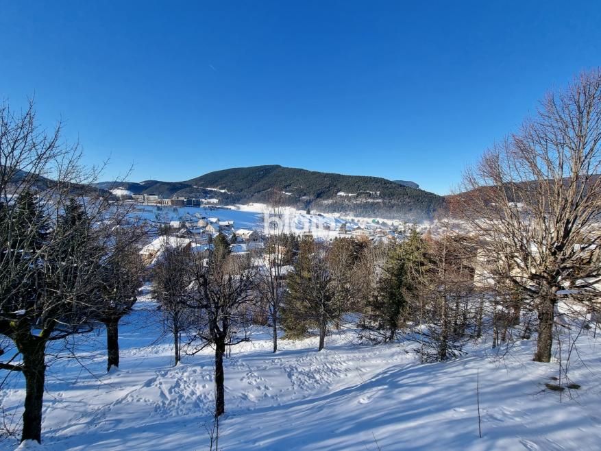 291 - Photo 12