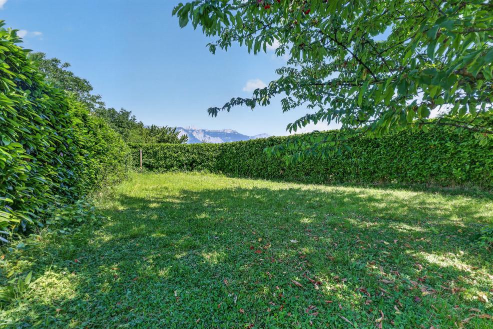 391 - Photo 2