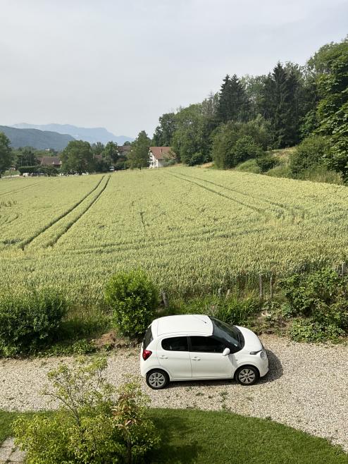  - Photo 12