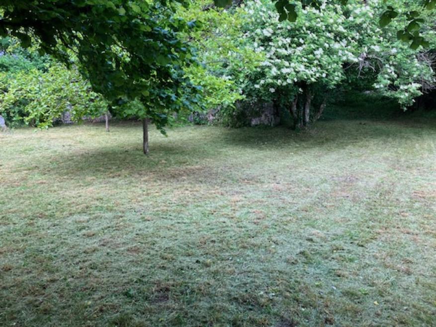 418 - Photo 23