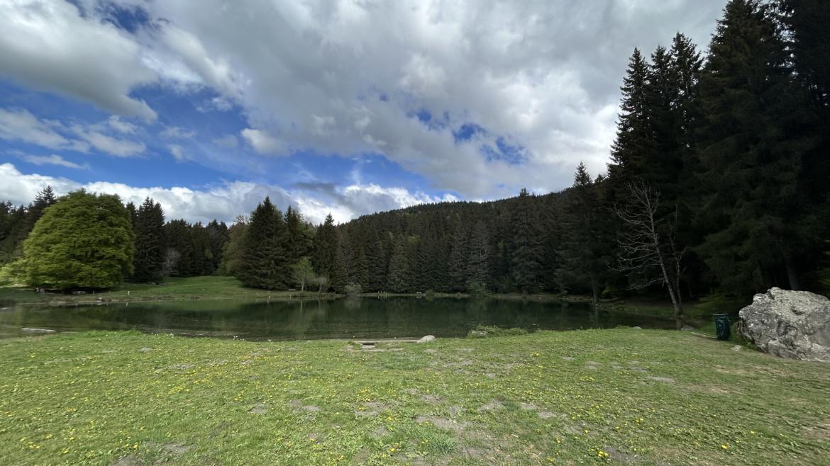 389 - Photo 11