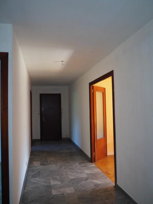 283 - Photo 7