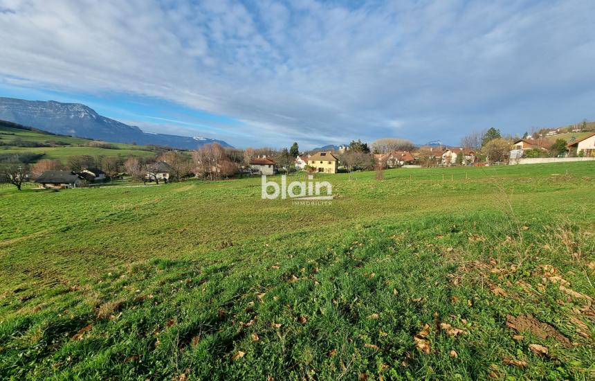 273 - Photo 1
